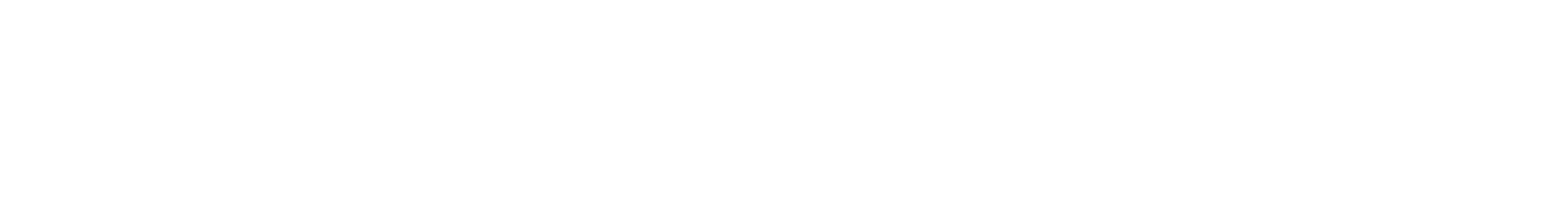 Logo Web Evolution Branca